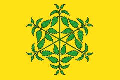 Файл:Flag of Krapivenskoe (Tula oblast).png