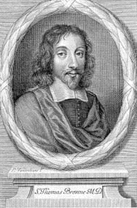 File:Sirthomasbrowne.png