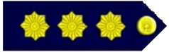 File:Latvian Police Colonel Rank.png