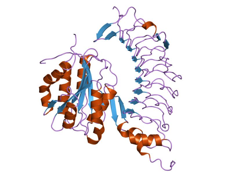 File:PDB 1m10 EBI.jpg