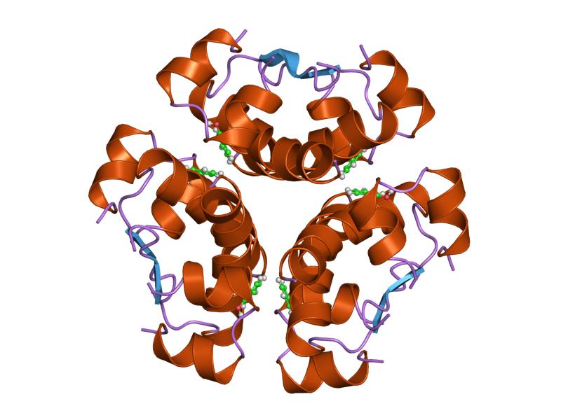 File:PDB 4aiy EBI.jpg