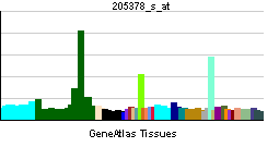 File:PBB GE ACHE 205378 s at tn.png