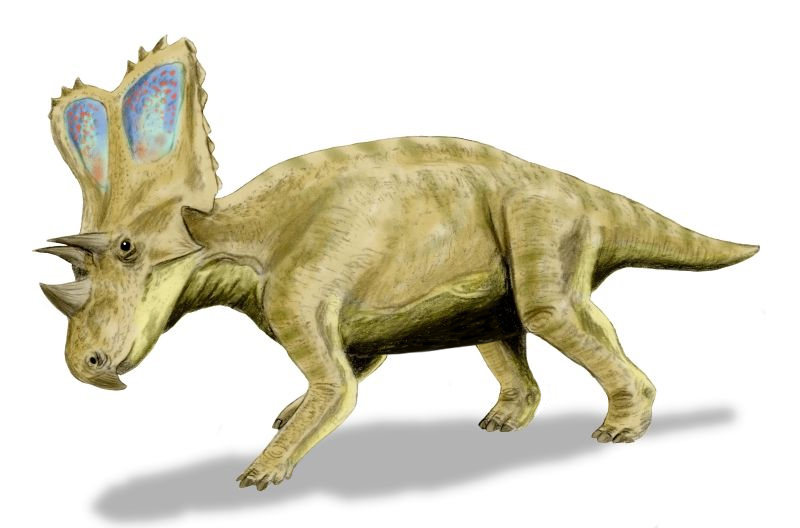 Файл:Chasmosaurus BW.jpg