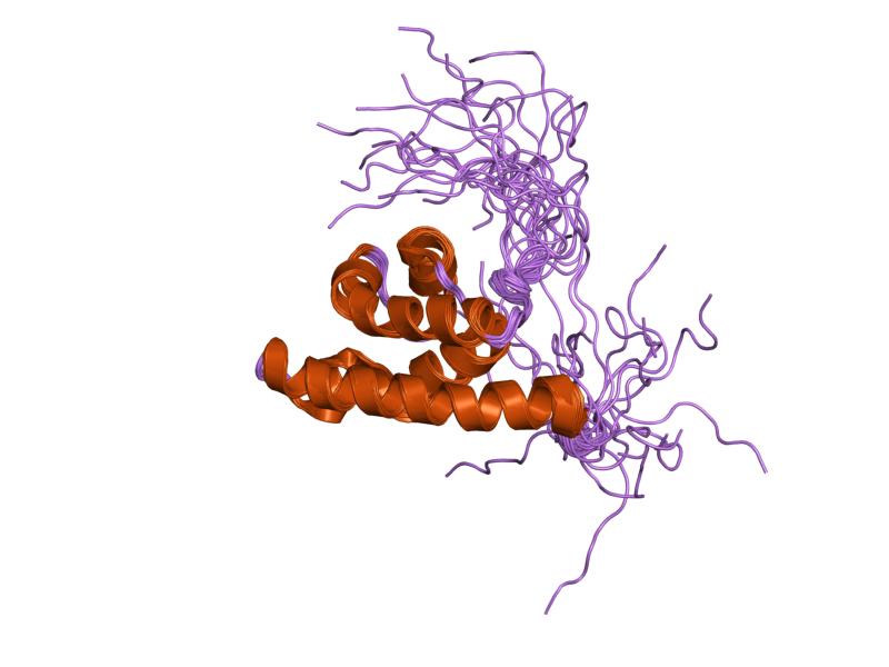 File:PDB 2dgz EBI.jpg