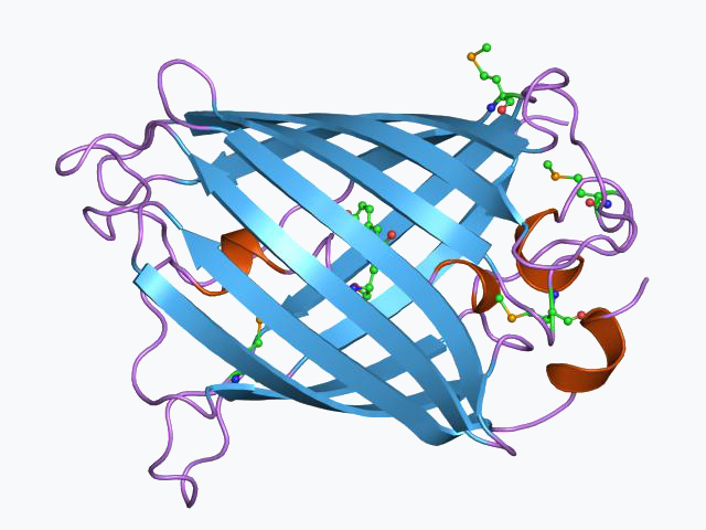 Файл:PDB 1ema EBI.jpg