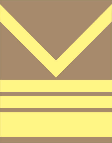 Файл:Bosnia and Herzegovina Sergeant Major Insignia.jpg