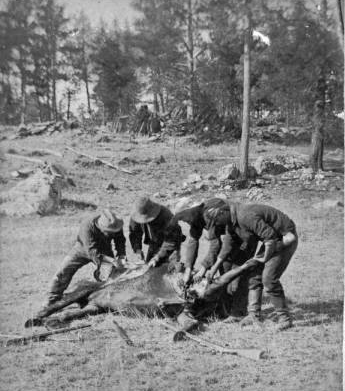 File:Soldiers cutting up abandoned horse.png