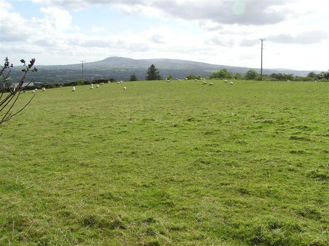 File:Bracaghreilly Townland - geograph.org.uk - 561804.jpg