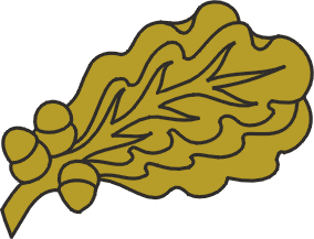 File:Bronze-Oak-Leaf-Cluster.png