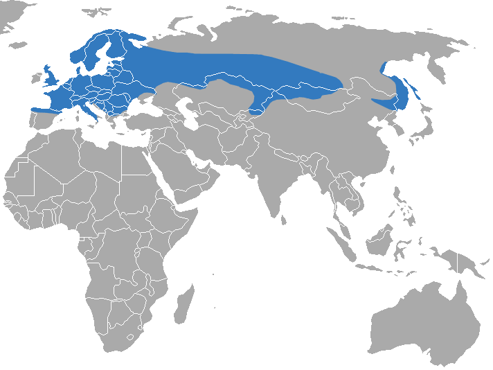 Файл:Eurasian Water Shrew area.png