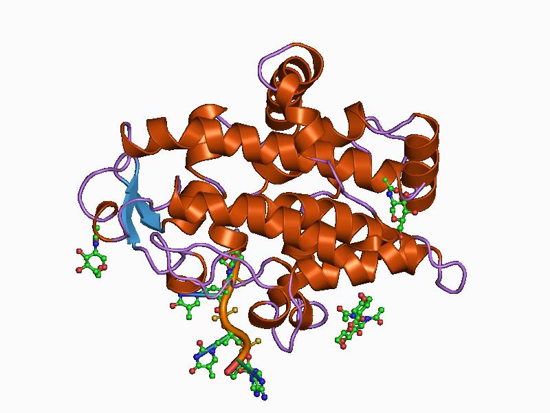 File:PDB 1ak0 EBI.jpg