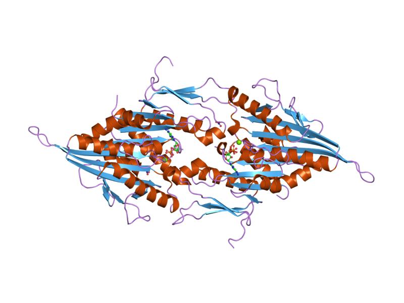 File:PDB 1ii6 EBI.jpg