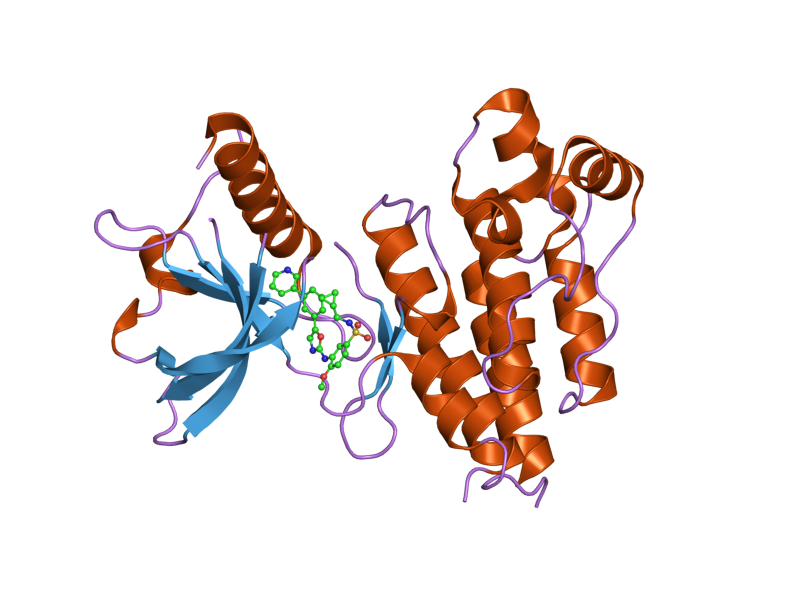 File:PDB 1y6b EBI.png