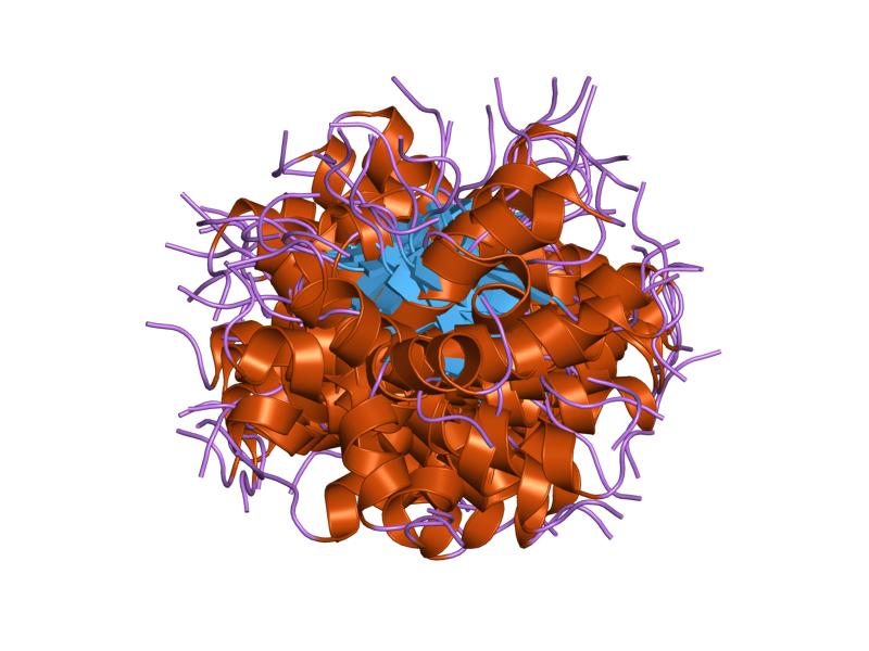 File:PDB 1hs5 EBI.jpg