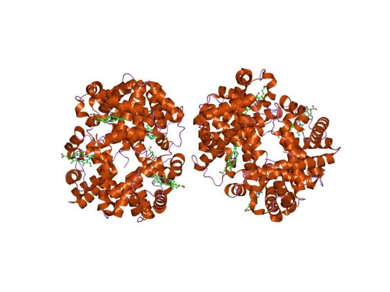 File:PDB 1uiw EBI.jpg