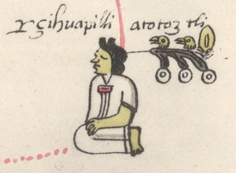 Archivo:Généalogie des seigneurs de Tenochtitlan - fragment - Atotoztli.jpg