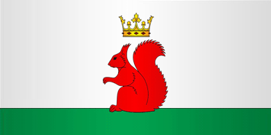 File:BIA Brzostowica Wielka flag.gif