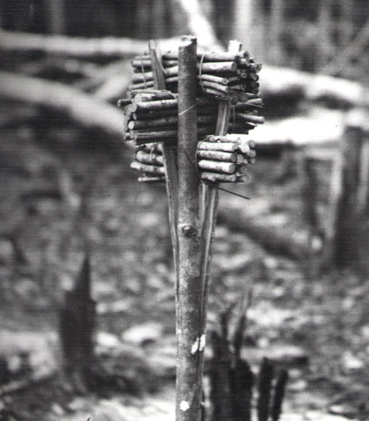 File:Juju charm protecting dugout canoe on riverbank, 1954.jpg