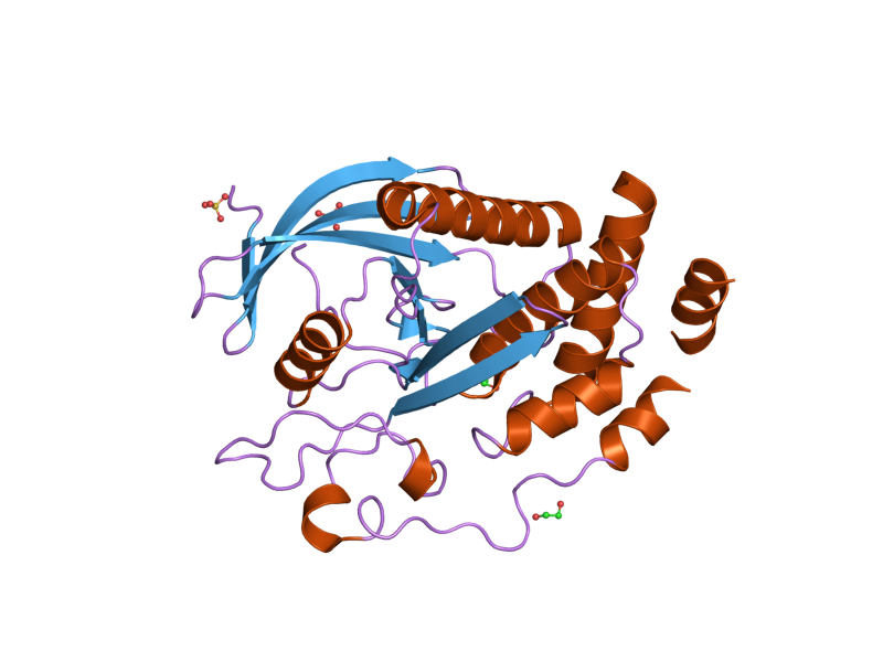 File:PDB 2bzl EBI.png