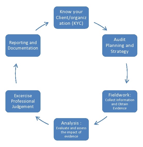 File:Audit Cycle.jpg