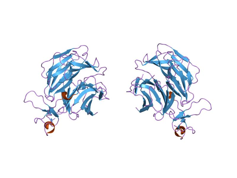 File:PDB 1ijq EBI.jpg