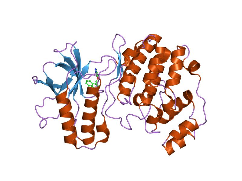 File:PDB 1wbw EBI.jpg