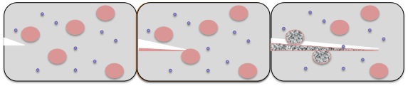 Polymerization in situ