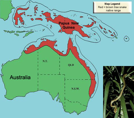 File:Boiga irregularis rangemap.jpg