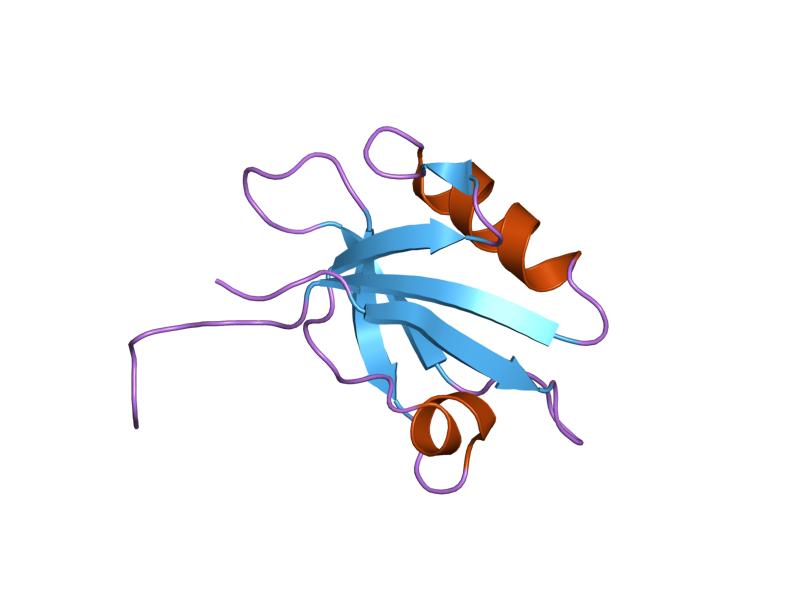 File:PDB 1g9o EBI.jpg