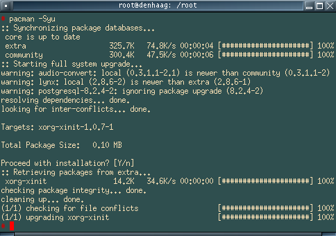 File:Pacman.system sync and upgrade.20070921.png