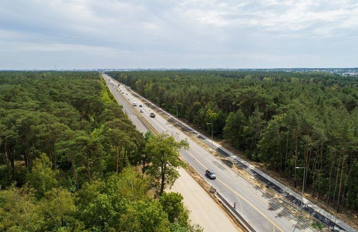 File:Bird eye forest.jpg