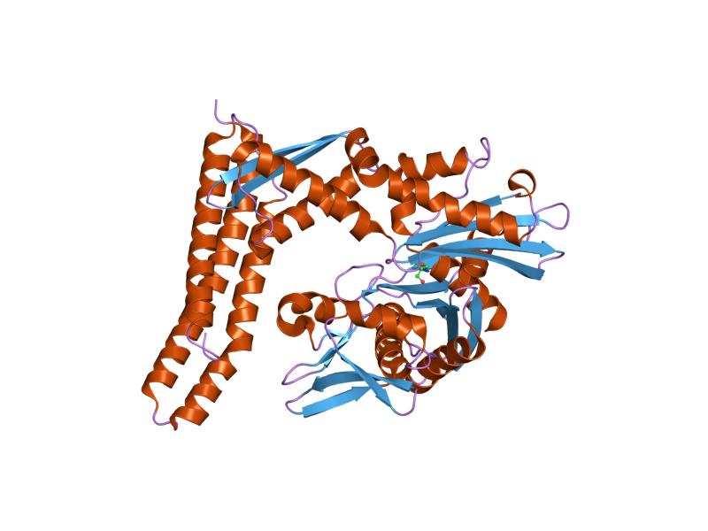 File:PDB 1hx1 EBI.jpg