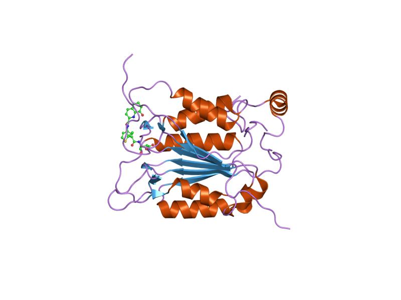 File:PDB 1rwp EBI.jpg