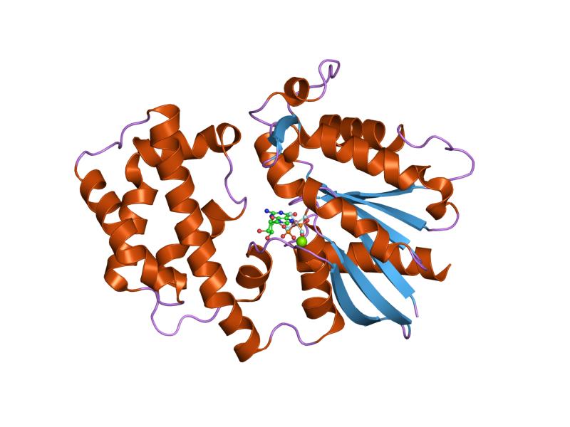 File:PDB 1svk EBI.jpg