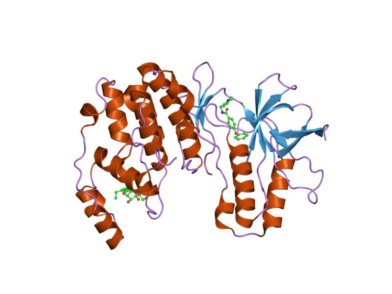 File:PDB 1zyj EBI.jpg