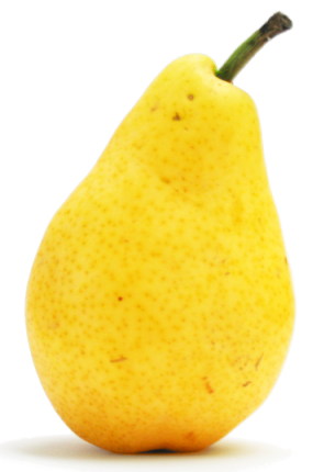 File:PearPhoto.jpg