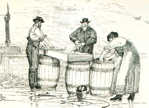 File:Processing river herrings.jpg