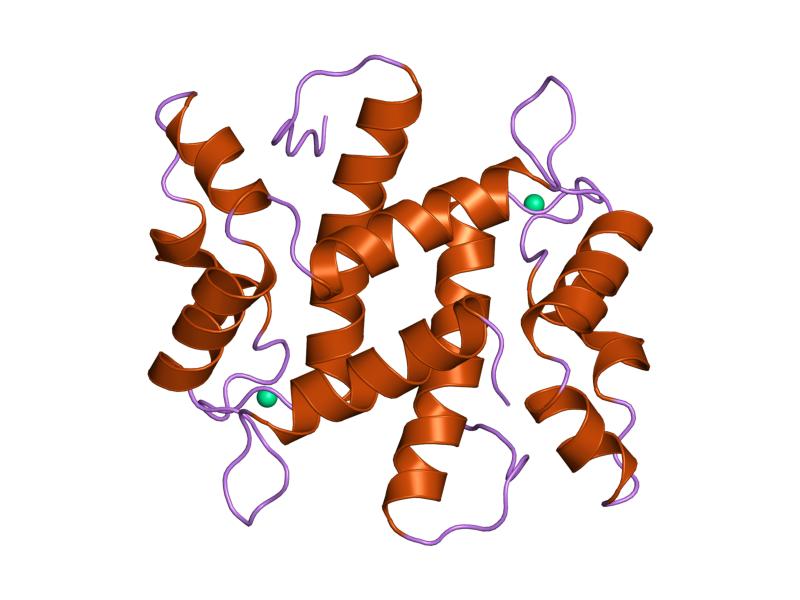 File:PDB 1psr EBI.jpg