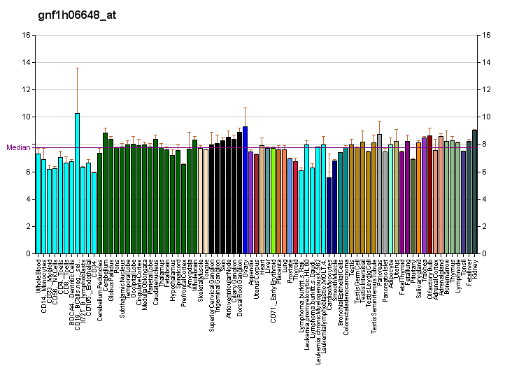 File:PBB GE KCNH2 gnf1h06648 at fs.png