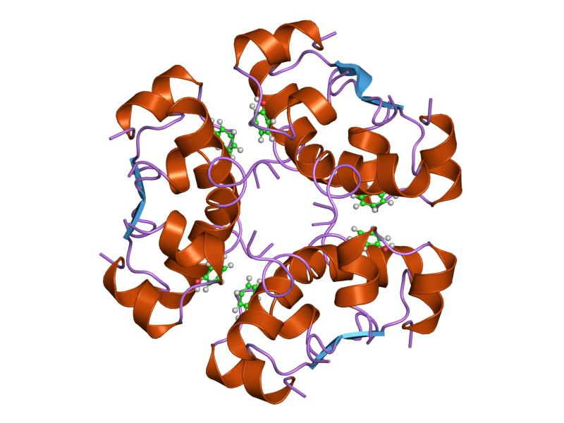 File:PDB 3aiy EBI.jpg