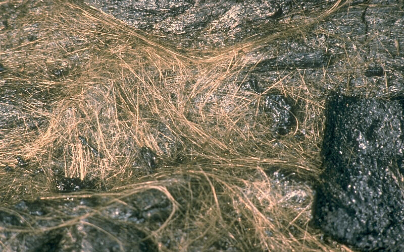 File:Peleshair USGS.jpg