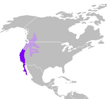 File:C. californica distribution.JPG