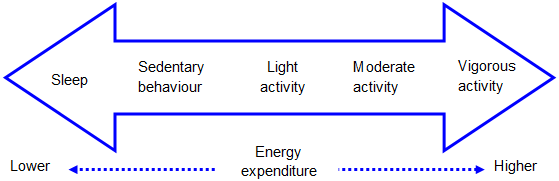 File:Intensity and Energy Expenditure.png