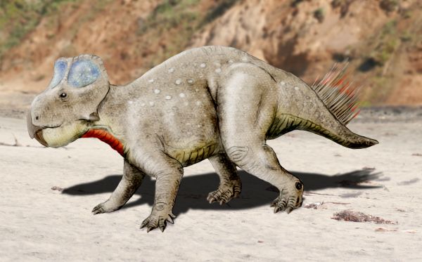 File:Zhuchengceratops NT.jpg