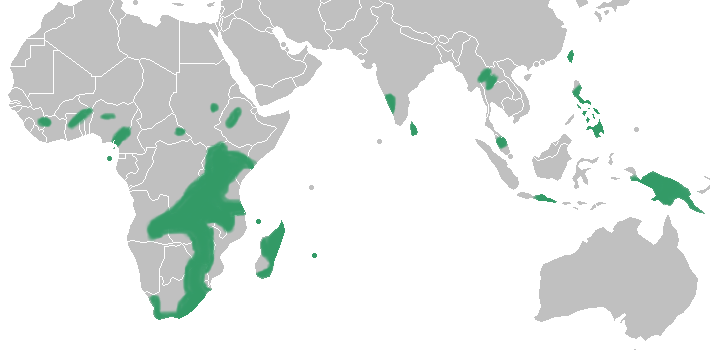 Archivo:Disperis distribution map.png