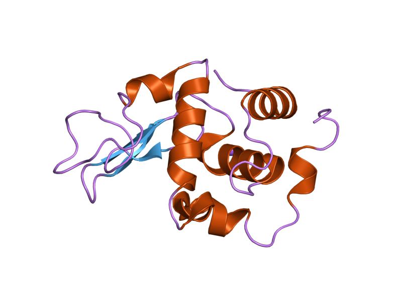 File:PDB 1gfh EBI.jpg