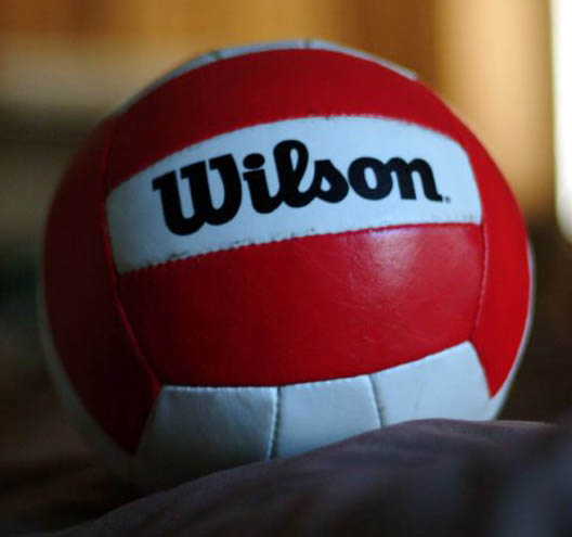 Archivo:Wilson volleyball.jpg