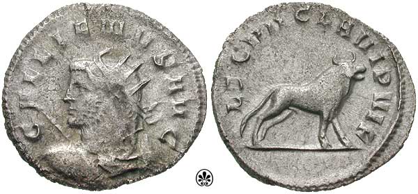 File:Gallienus legio VII Claudia.jpg