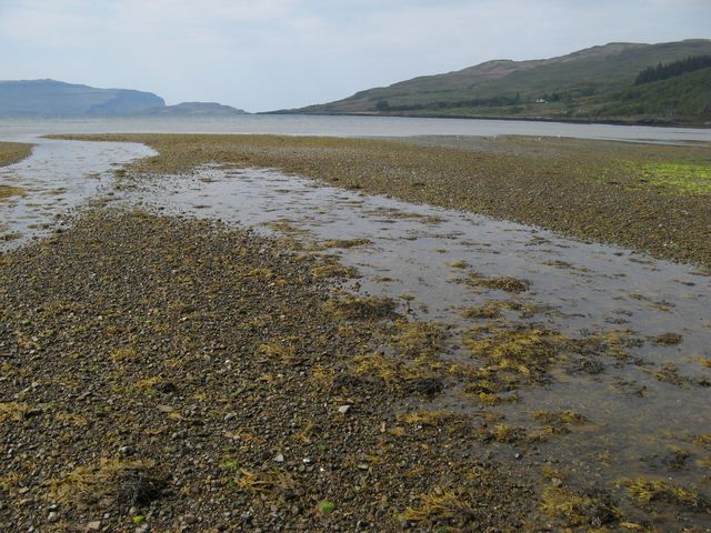 File:River Bà distributary (geograph 5443374).jpg