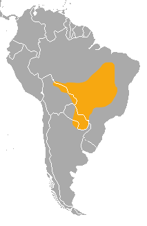 Distribución del gato del Pantanal